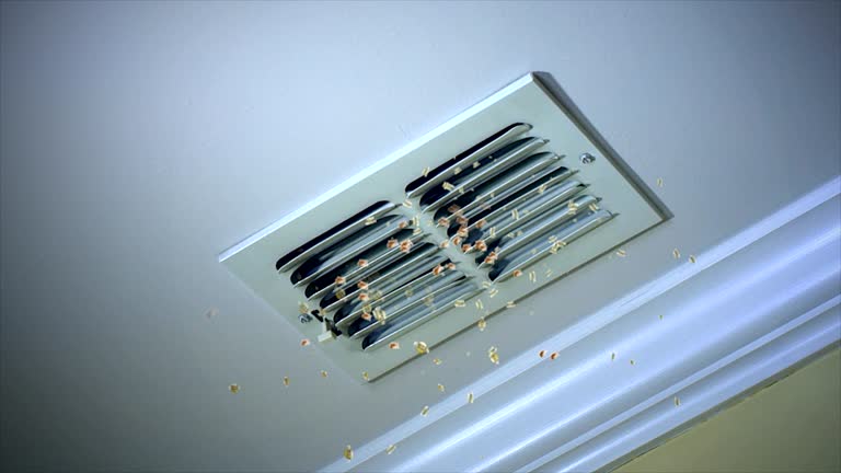 Air Duct Mold Removal in Moreno Valley, CA